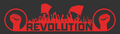 Thumbnail for version as of 04:01, 8 May 2026