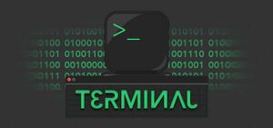 Terminal (Banner).jpg